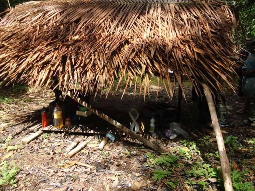 Lideranças denunciam a existência de 200 pessoas em regime de escravidão em Barcelos