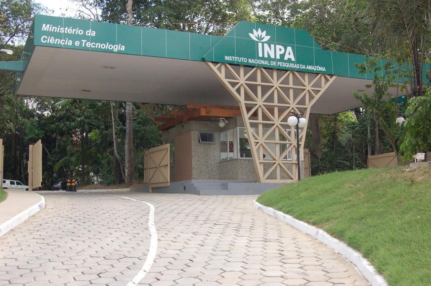 Plantas da Amazônia com poder de cura poderiam estar no SUS, diz pesquisador do Inpa