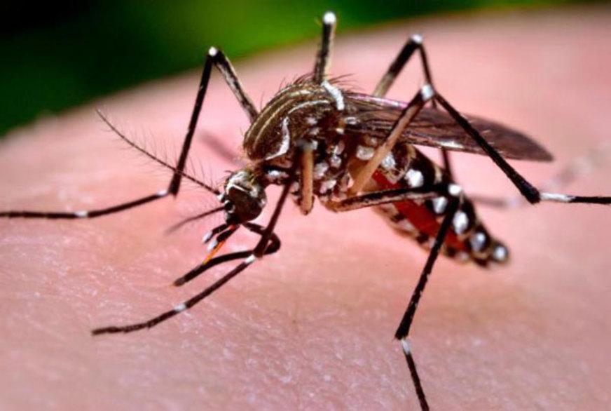FVS confirma 2º caso ‘importado’ de Chikungunya em Manaus