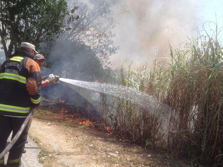 Altas temperaturas aumentam a ocorrência de incêndios