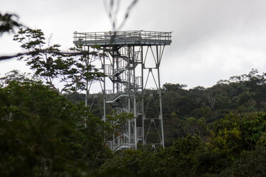 Eclipse total e super Lua poderão ser vistos por 15 pessoas na torre do Musa, em Manaus