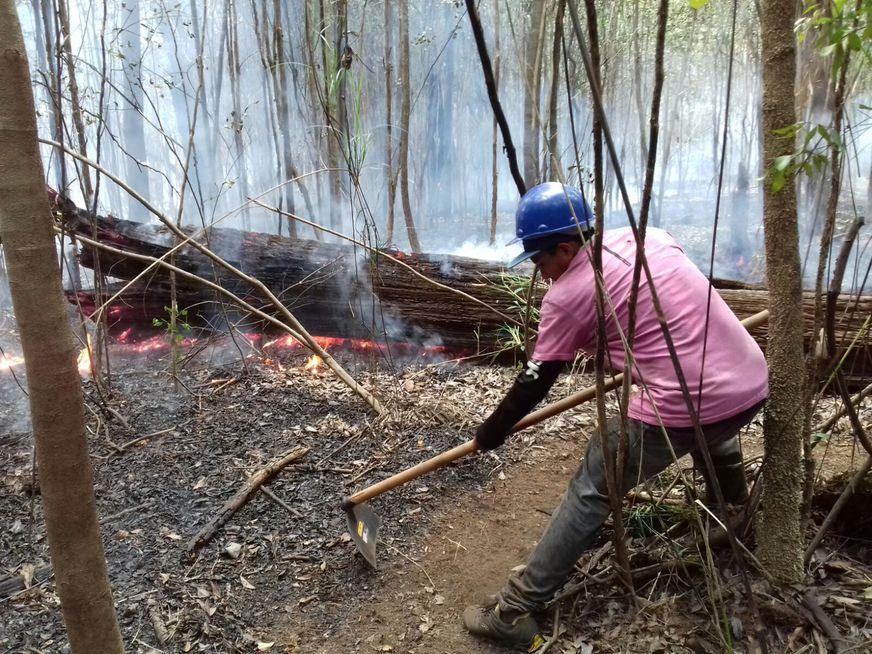 Amazonas registra 43 focos de queimadas e incêndios em menos de dois dias