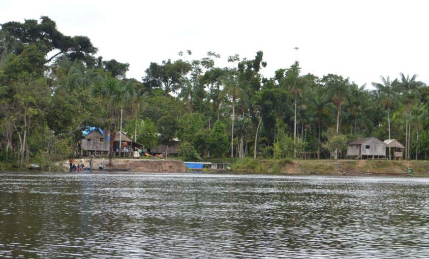Estudo aponta que a depressão também atinge populações da Amazônia