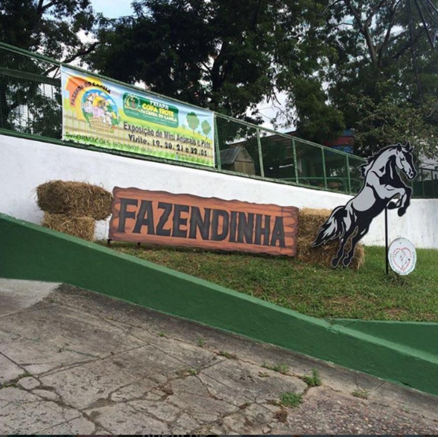 Programação variada neste fim de semana