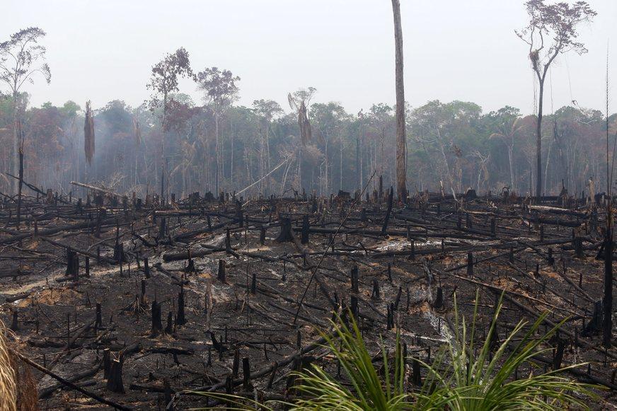 Focos de queimadas e incêndios no Amazonas cresceram 448% em 2016