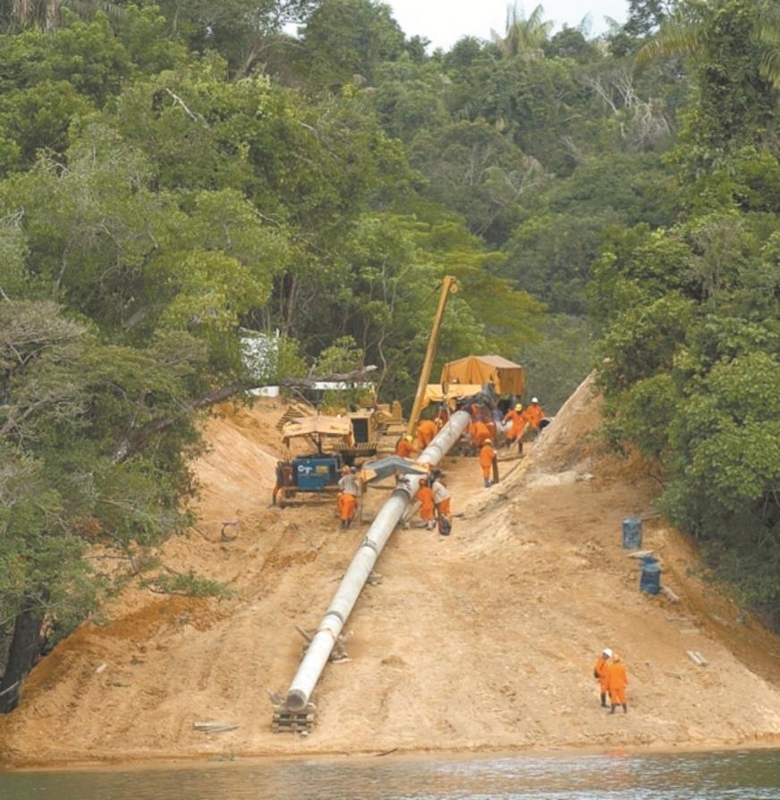 Relatório aponta que mudanças nas leis ameaçam Amazônia