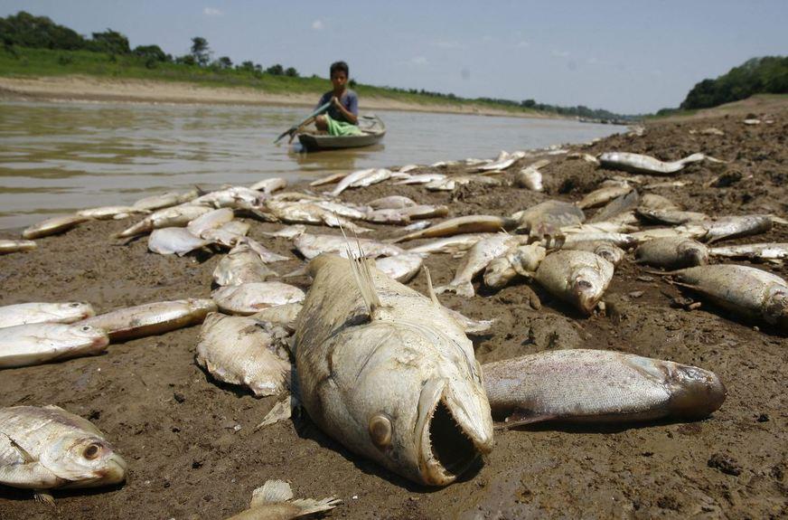 Laboratório da UEA analisará mudanças climáticas na Amazônia