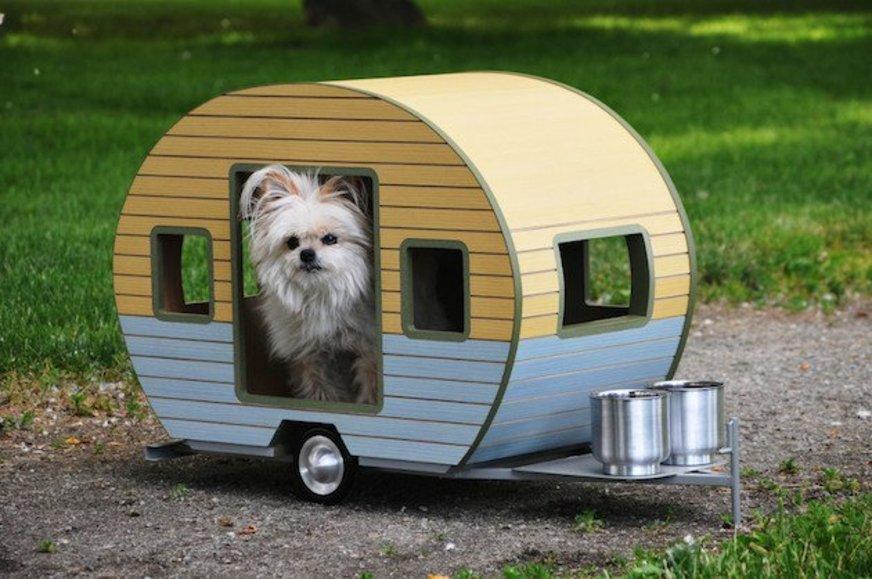 Conheça opções variadas para a casa e a cama dos cachorros