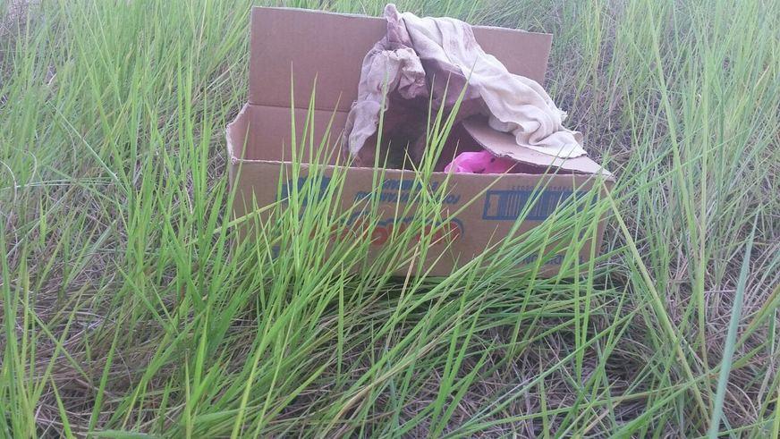 Autor do abandono de bebê no Manaquiri ainda não foi identificado