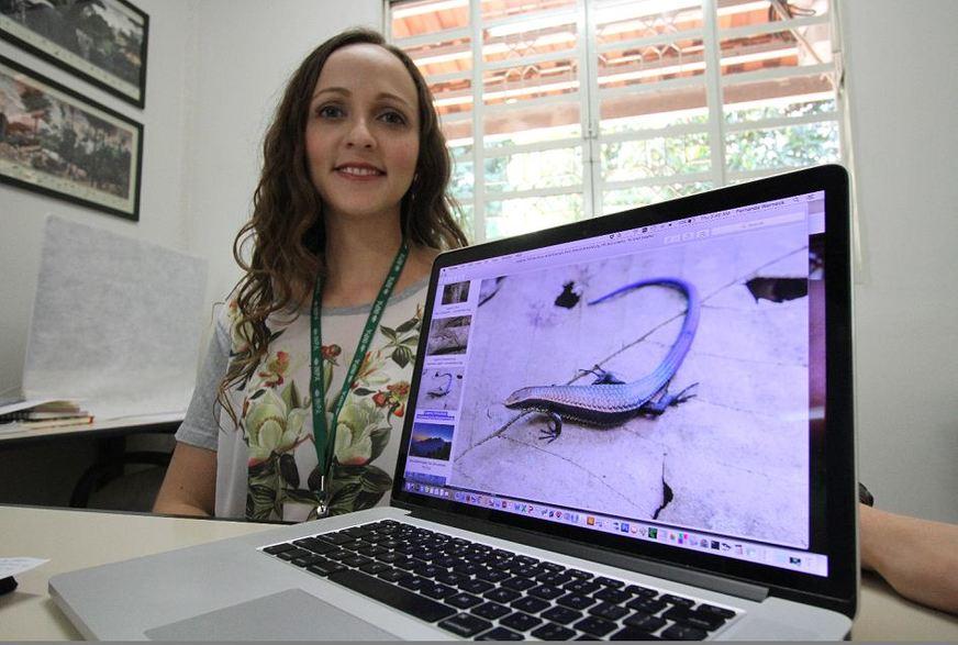 Pesquisadora ganha prêmio com estudo sobre Amazônia e Cerrado