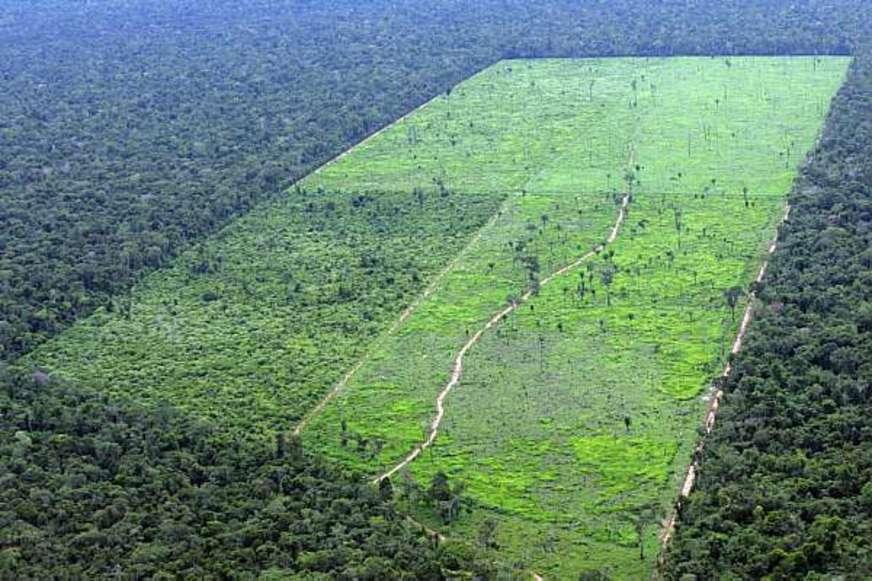 Venda de terras para estrangeiros