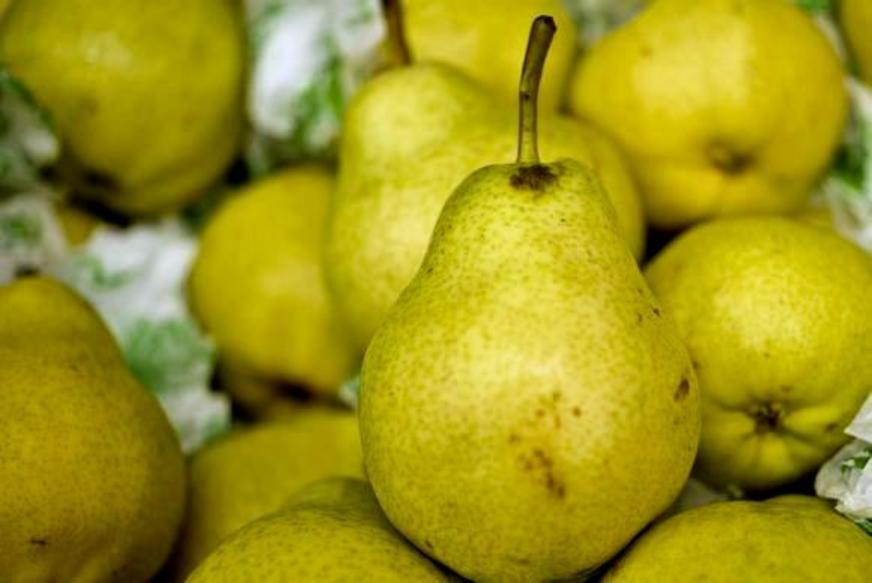 Frutas, biscoitos e iogurtes compõem lanche de 98,2% das crianças brasileiras, diz estudo