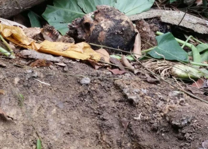 Crânio humano é encontrado em terreno no bairro Cidade Nova