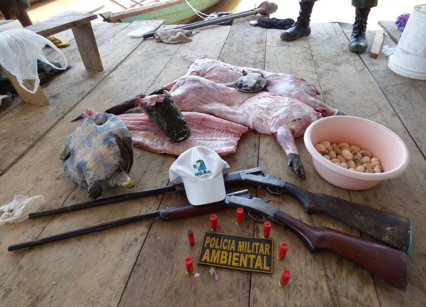 Operação combate crimes ambientais nas calhas dos rios Solimões, Purus e Japurá