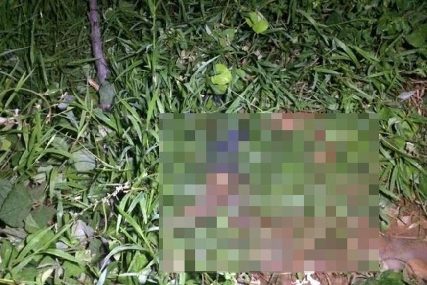 Corpo é encontrado em mata no bairro Gilberto Mestrinho, Zona Leste