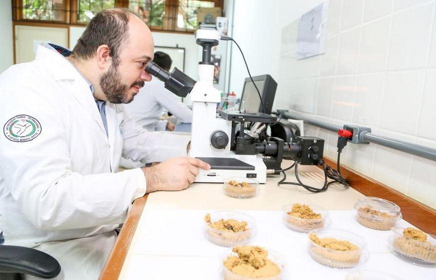 Pesquisa analisa efeito de corrosão do solo amazônico sobre o aço