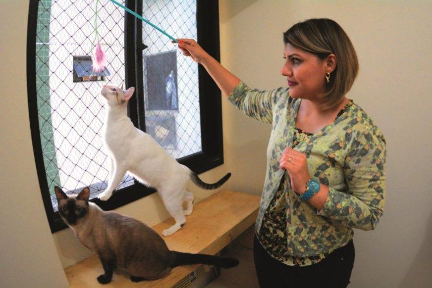 Lugar de gato é… em casa! Conheça os riscos do acesso à rua e como evitar escapadas