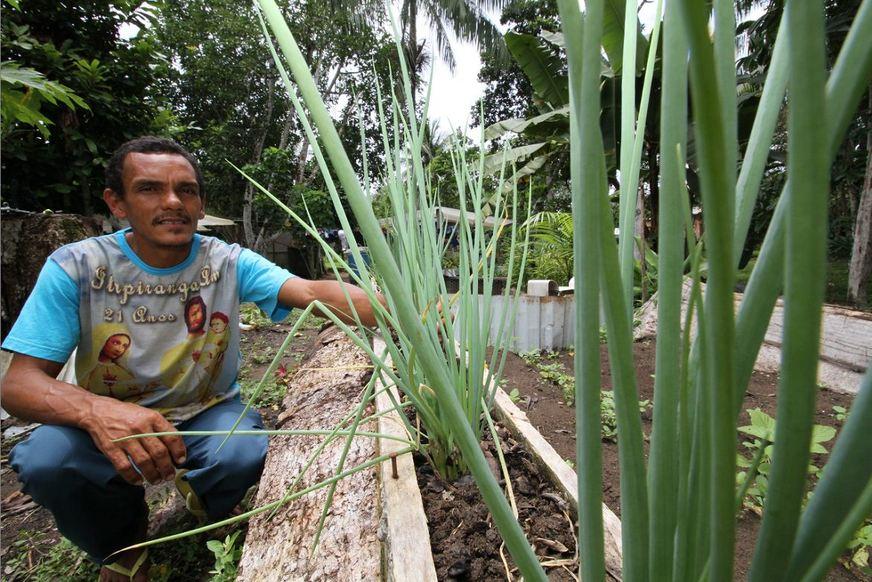 Produção de orgânicos cresce no Amazonas e busca outros avanços