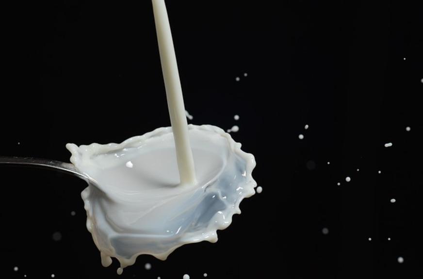 Fabricantes terão que indicar presença de lactose no rótulo de alimentos