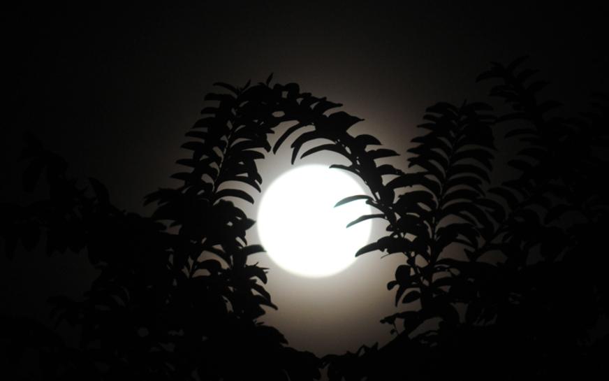 Eclipse da Lua pode ser visto na noite desta sexta-feira em todo o Brasil