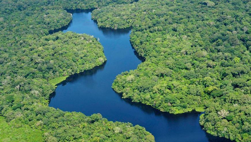Proteger a natureza para sobreviver