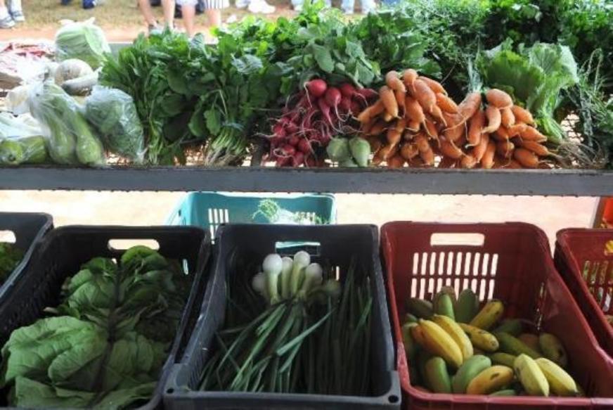 Rastreamento de frutas, legumes e verduras aumenta em 2016