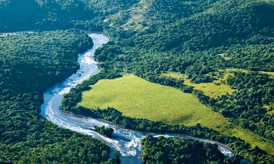 Plataforma brasileira permitirá diagnóstico sobre biodiversidade