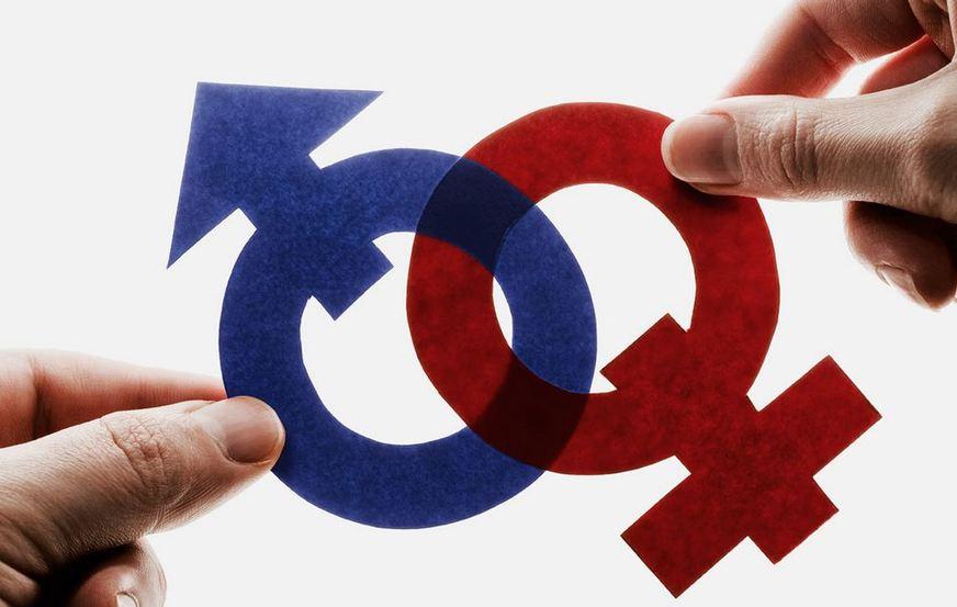 OEA pede a governos compromisso com princípios da igualdade de gênero
