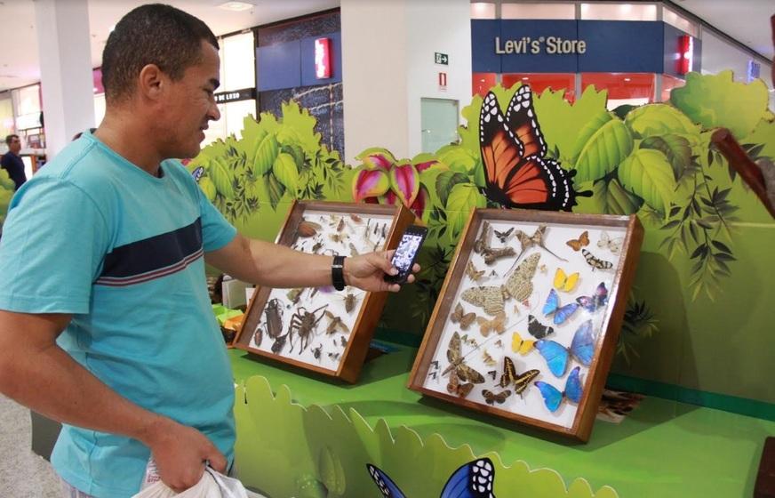 ‘Floresta da Ciência’ do Inpa entra nos últimos dias de exposição em Manaus