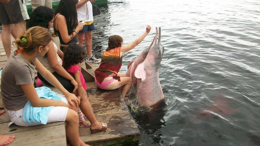 Meio Ambiente: ecoturismo  é opção para  o Amazonas
