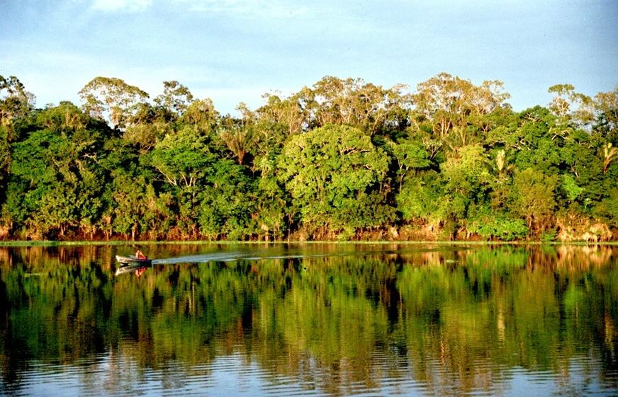 Governo apresenta projeto de lei que reduz floresta na Amazônia