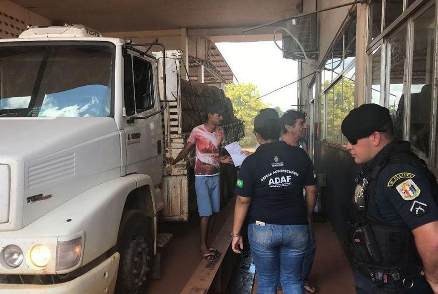 Amazonas e Roraima unificam serviço de defesa agropecuária em Jundiá