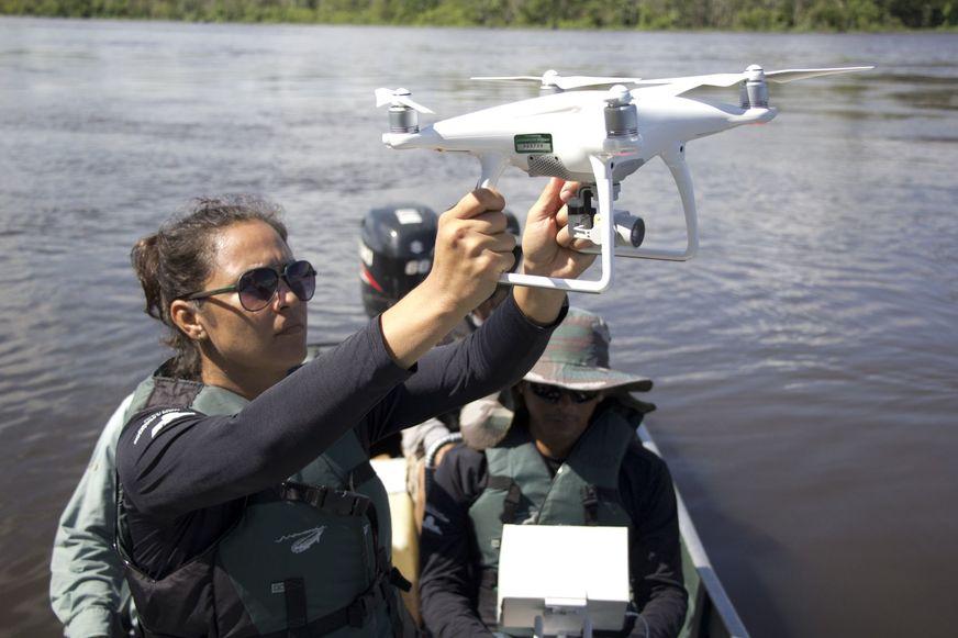Pesquisadores usam drones para fazer contagem de botos na Amazônia