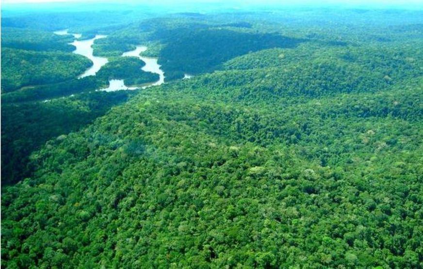 Amazônia em perigo