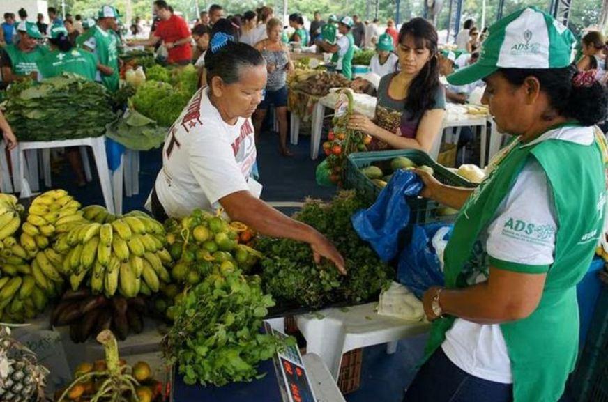 Feira de Agronegócios da Nilton Lins contará com produtos regionais