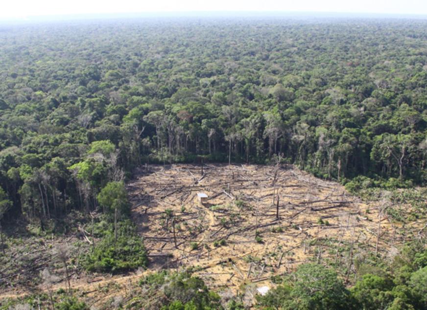 Ambientalistas criticam incentivo à mineração e dizem que data é ‘decorativa’