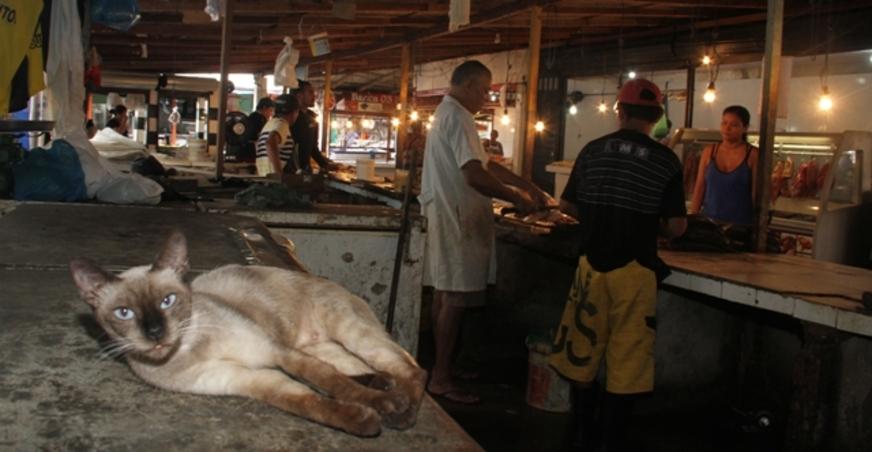 Feira na Zona Leste tem condições precárias para trabalhadores e clientes