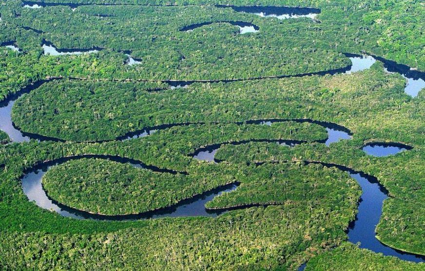 Papa Francisco anuncia sínodo mundial dedicado à Amazônia
