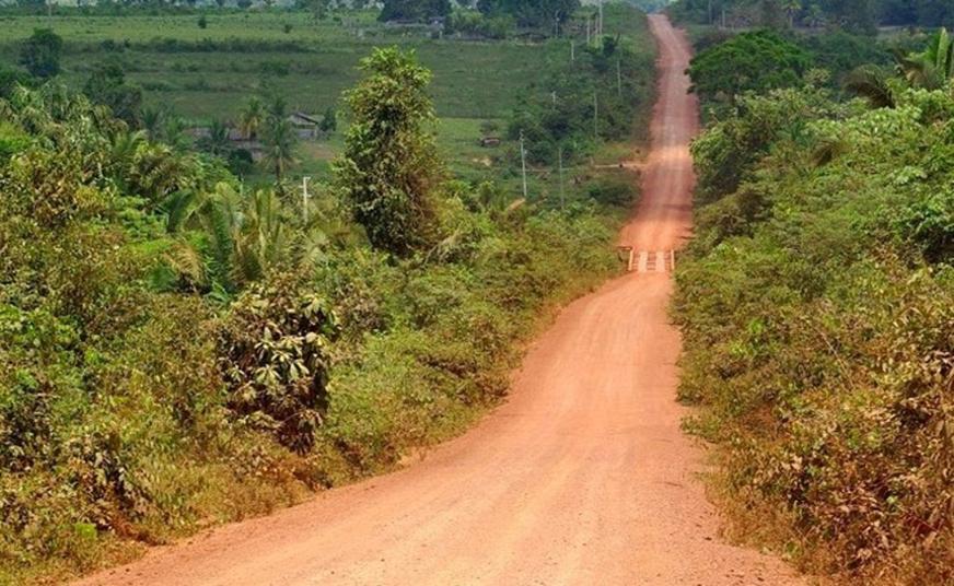 Projeto busca construir estrada para interligar estados do Amazonas e Pará