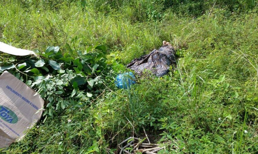 Corpo de homem enrolado em cobertor e com saco plástico na cabeça é achado no Tarumã