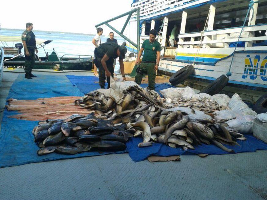 Comando Ambiental da PM apreendeu mais de 20 toneladas de pescado em 2017 no AM