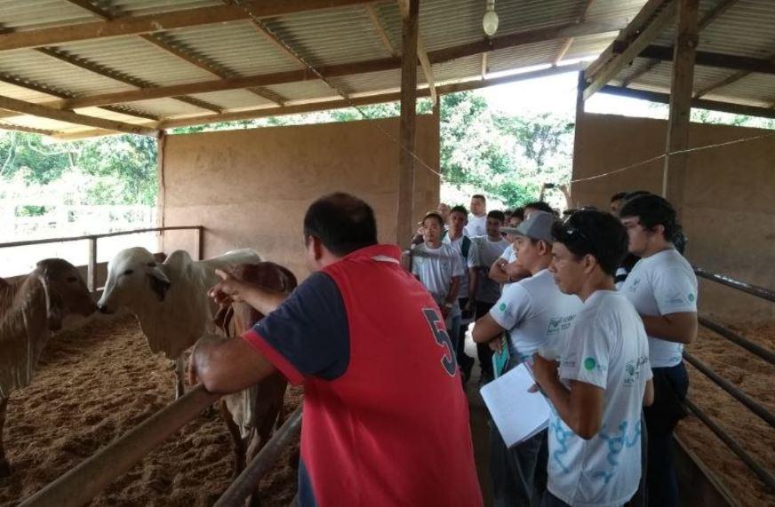 Senar abre 20 vagas para curso técnico gratuito de Agronegócios em Autazes