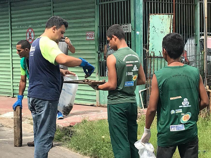 Vila da Prata e Cidade Nova formarão brigadas de combate ao caramujo africano