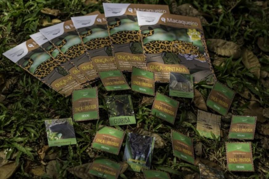 Campanha virtual incentiva uso de material didático sobre onça-pintada nas escolas