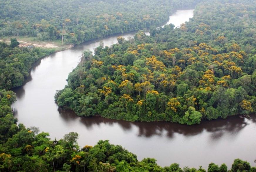 Justiça determina retirada de invasores de terra indígena no interior do Amazonas