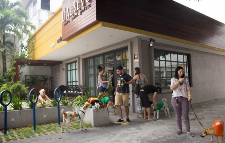 Café com Pet terá feira de adoção, desfile de animais e novidades no segmento