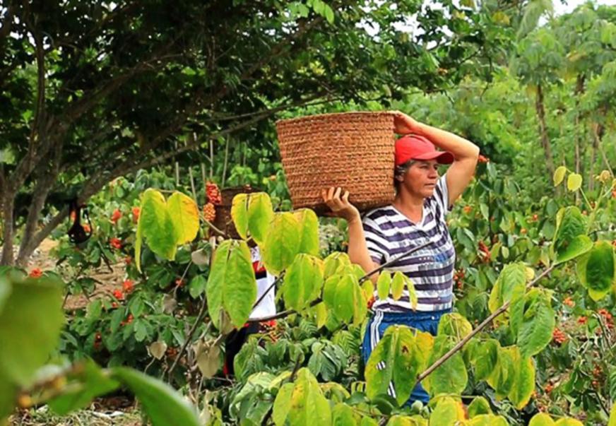 Projeto em tramitação na ALE quer mudar o Código Tributário do Amazonas