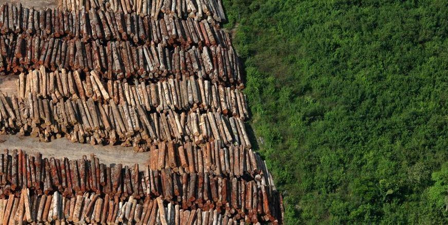Desmatamento em ‘terra de ninguém’ na Amazônia sobe para média de 11,5%