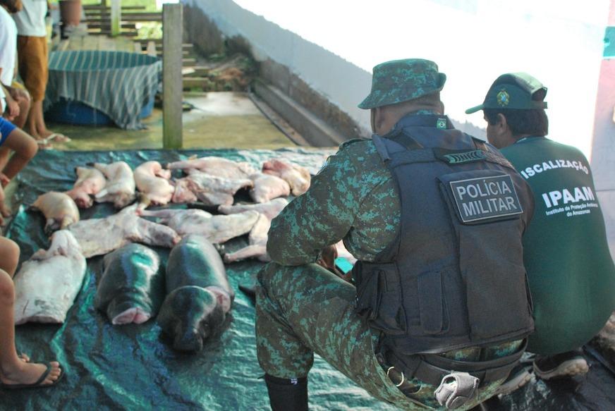 Ipaam e Polícia Ambiental apreendem animais silvestres abatidos em Manaus e Beruri