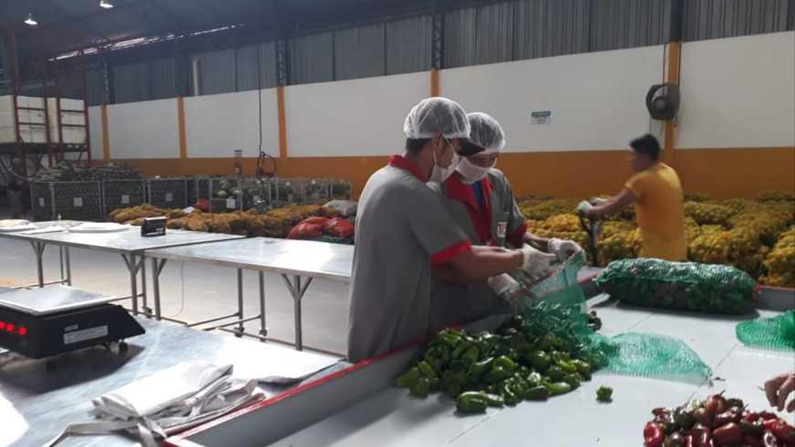Programa de Regionalização da Merenda do AM tem qualidade atestada